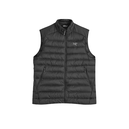 아크테릭스 세륨 다운 베스트