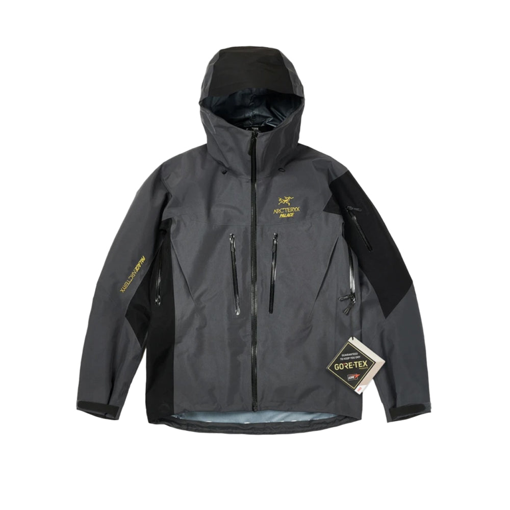 아크테릭스 X 팔라스 알파 SV 자켓(국내배송)(당일배송)